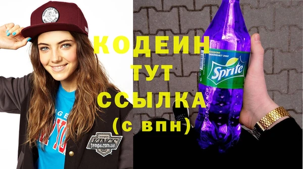 молекула духа Верхний Тагил