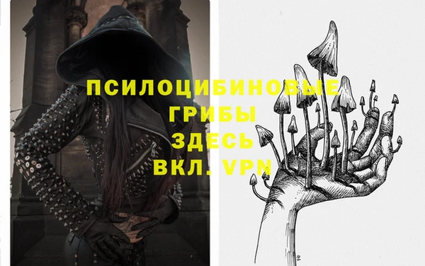 молекула духа Верхний Тагил