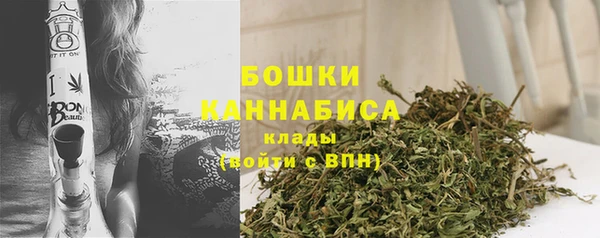 молекула духа Верхний Тагил