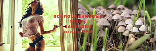 молекула духа Верхний Тагил