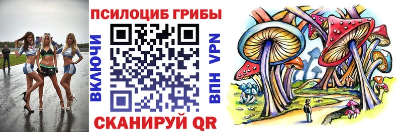 Купить  Болхов  Галлюциногенные грибы мицелий 