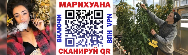 Купить где  Болхов  Марихуана индика 